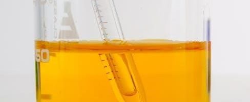 woodcock johnson test sample pdf