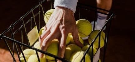 xsonic airstep spk manual