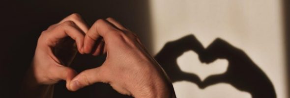 frigidaire ffmv164lsa manual