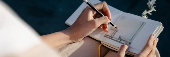 laws guide to nature drawing and journaling