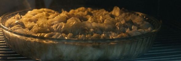 aroma roaster oven instructions